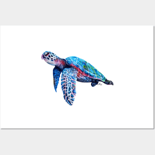 Sea Turtle Posters and Art